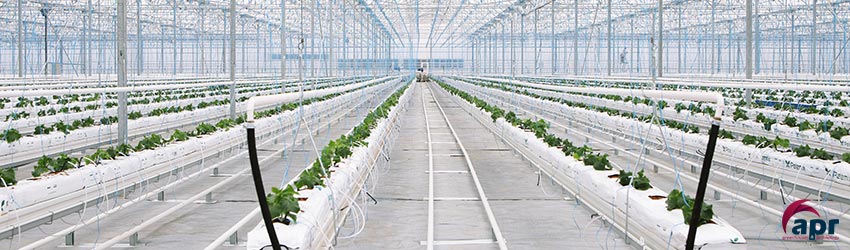 hydroponic greenhouse apr